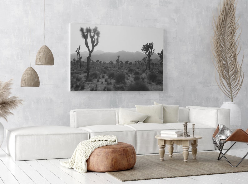 Joshua Tree California Photography, Wall Art Prints, Black And White Photograph, Large Stretched Canvas, Panoramic, Southwestern Home Decor image 4