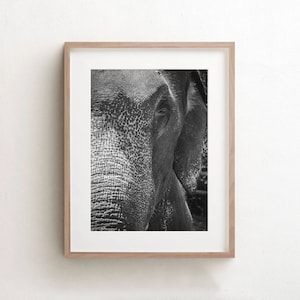 Elephant Wall Art Print, Black And White Elephant Photo, African Animals, Fine Art Prints, Large Canvas Wall Art, Africa Wall Decor image 1