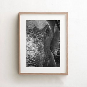 Elephant Wall Art Print, Black And White Elephant Photo, African Animals, Fine Art Prints, Large Canvas Wall Art, Africa Wall Decor image 1