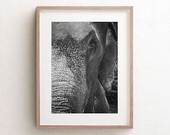 Elephant Wall Art Print, Black And White Elephant Photo, African Animals, Fine Art Prints, Large Canvas Wall Art, Africa Wall Decor