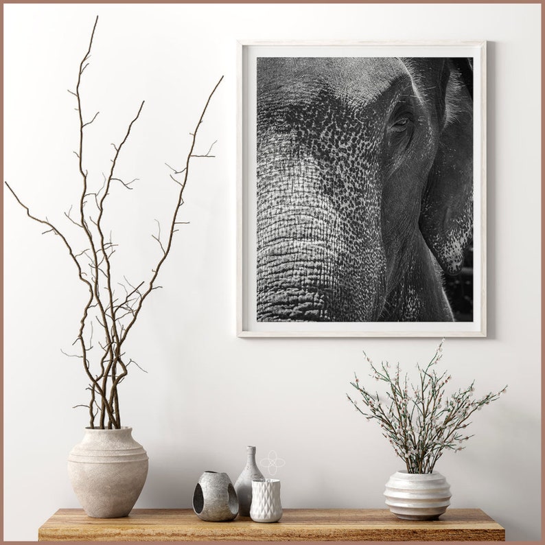 Elephant Wall Art Print, Black And White Elephant Photo, African Animals, Fine Art Prints, Large Canvas Wall Art, Africa Wall Decor image 2