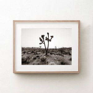 Joshua Tree Print | Black And White Photo Joshua Tree | Tree Wall Art | Above The Sofa Canvas | Panoramic Wall Art | Southwestern Desert