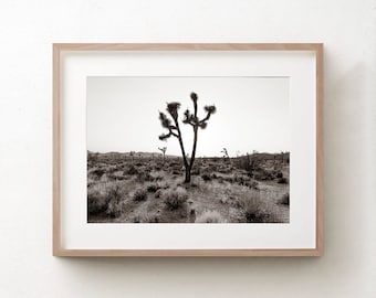 Joshua Tree Print, schwarz weiß Fotografie, Baum Wandkunst, Schlafzimmer Leinwand Kunst, Panorama, große Wandkunst, Southwestern Desert Photo