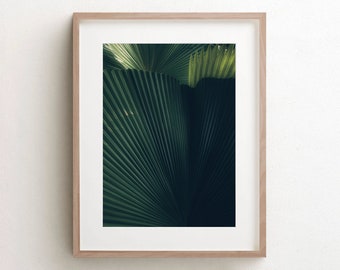 Palm Leaf Print, Tropical Wall Art, Phuket Thailand, Kitchen Decor, Plant Print, Boho Wall Decor, Large Palm Canvas, Nature Photography