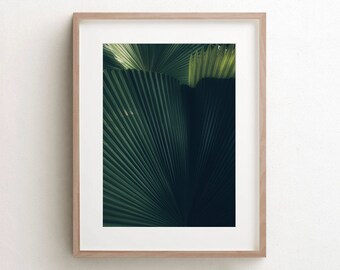 Palm Leaf Print, Tropical Wall Art, Phuket Thailand, Kitchen Decor, Plant Print, Boho Wall Decor, Large Palm Canvas, Nature Photography