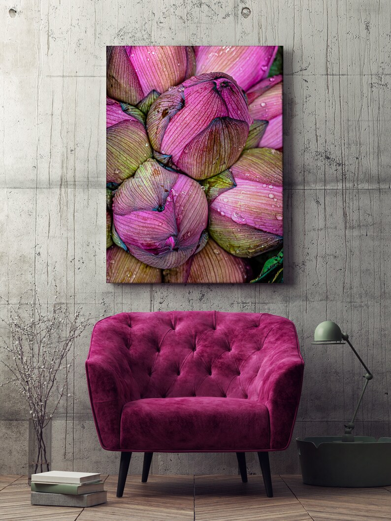 Pink Lotus Flower Wall Art Botanical Print Canvas Wall Art Etsy Israel