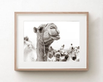 Camel Art Print, Black And White Photograph, Harar Ethiopia, Africa Photography, Animal Wall Art, Travel Photograph, Large Giclee Canvas