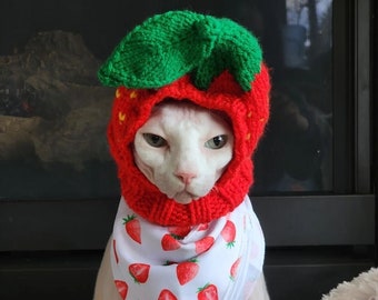 Strawberry Shortcake Dog/Cat Hat - Fruit Hat, Strawberry, Dog Hat, Cat Hat, Pet Hat, Pet Clothing, Dog Clothing, Dog Clothes, Pet Clothes,