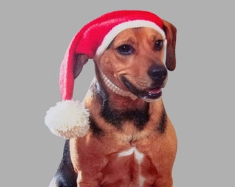 Santa Dog Hat - Santa Hat, Dog Hat, Pet Hat, Christmas, Pet Accessories, Dog Accessories, Dogs, Pets, Dog Clothing, Pet Clothes, Dog Clothes