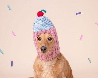 Birthday Cupcake Dog Hat - Dogs, Pets Birthday, Dog Hat, Dog Birthday Hat, Pet Hats, Birthday, Birthday Cake, Pet Accessories,