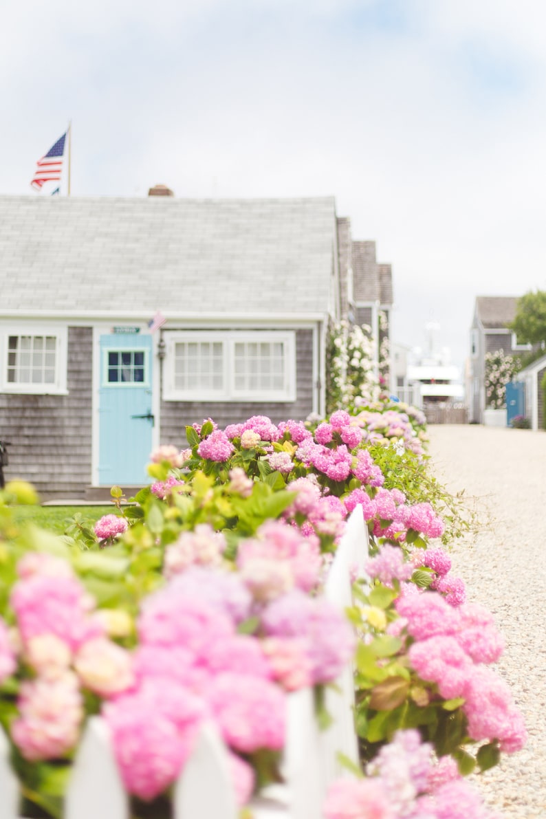 Hydrangea Cottage Framed Nantucket Art Print - Etsy