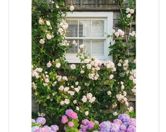 ACK in Full Bloom Framed Nantucket Art Print