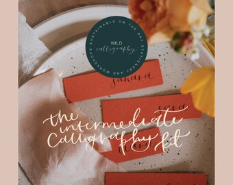 Intermediate calligraphy kit, uk calligraphy kit, modern calligraphy drill + practice sheets, calligraphy set for amateur calligraphers, DIY