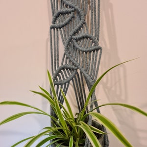 May include: A green plant with long, thin leaves hangs in a macrame plant hanger made of grey rope. The plant is in a green ceramic pot with a textured surface.