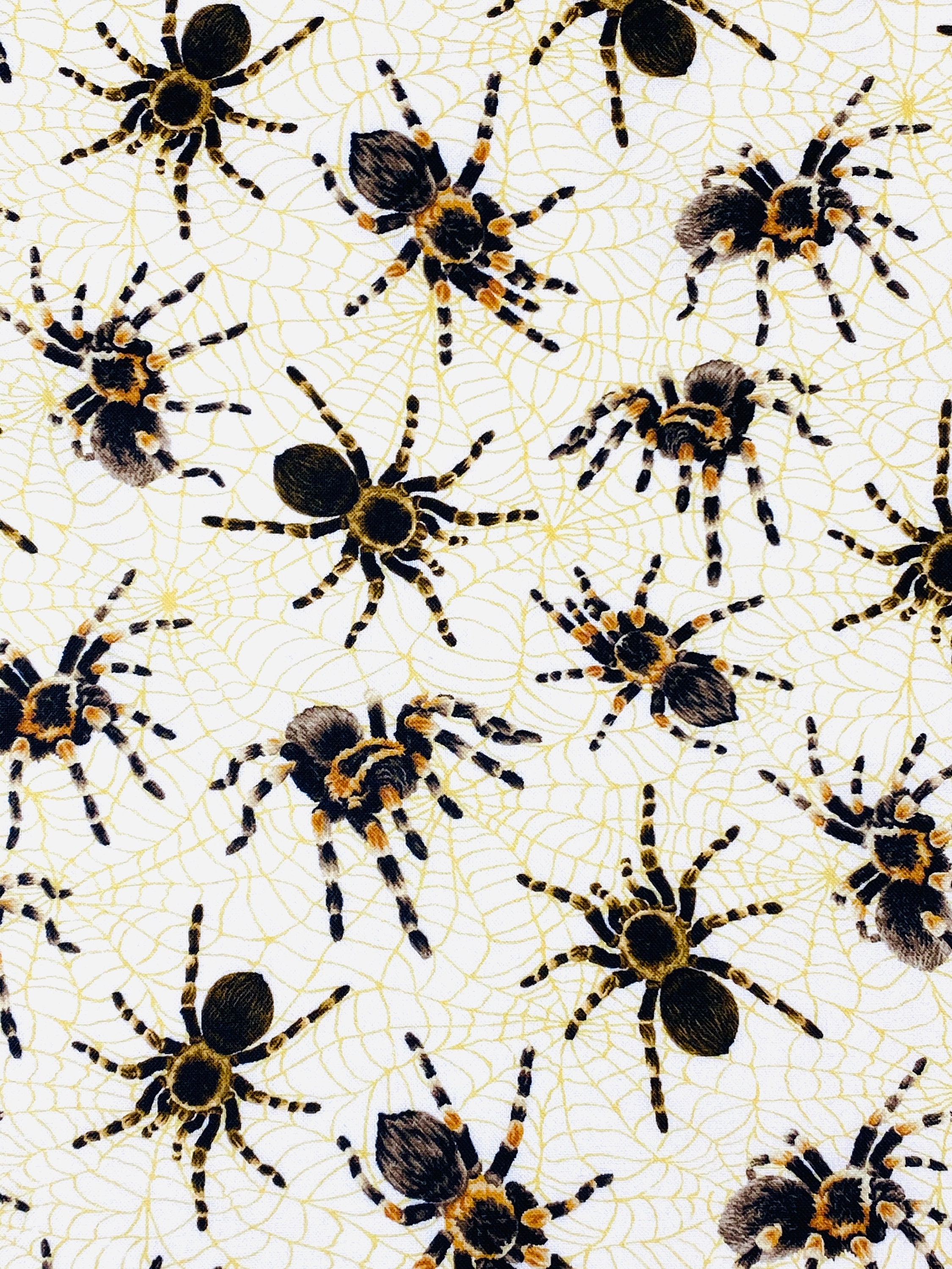 100 COTTON SPIDER Fabric Tarantula fabric Tightly Woven Etsy