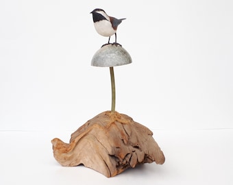 Boreal Chickadee on soapstone mushroom