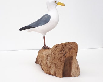 Sea Gull on Pacific Driftwood