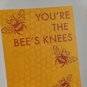 Lot de six cartes postales typographiques You're the Bees Knees