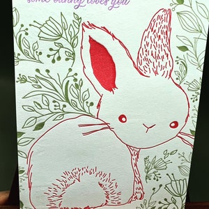 Some Bunny Loves You Letterpress Postcards