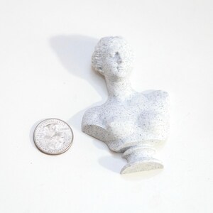 May include: A small, speckled gray bust of a classical figure, with a quarter coin for size comparison. The bust features a detailed face, neck, and shoulders, and is set against a white background.