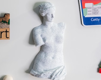 Venus de Milo & Head Bust Marble Texture Magnets, Classical Greek Art Fridge Decor