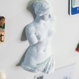 May include: A light blue, speckled statue of a classical female figure, likely Venus, with her arms broken off. The statue is affixed to a white surface, possibly a refrigerator, with other magnets visible.