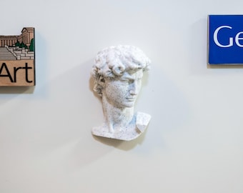 David Bust Magnet | Marble Texture, Renaissance Art Fridge Decor