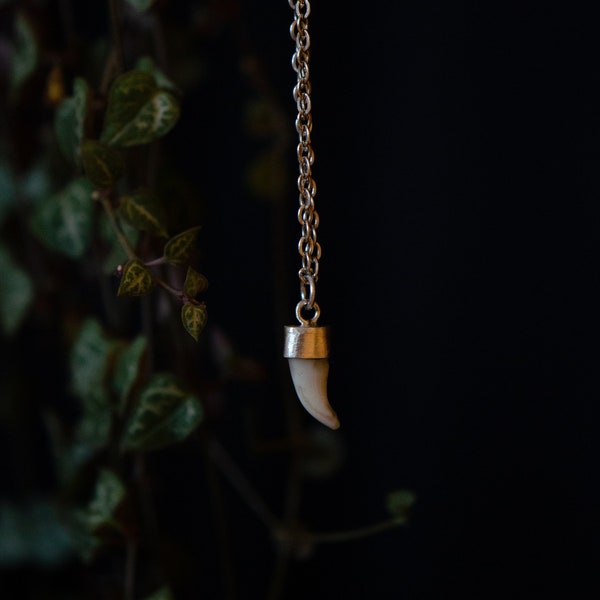 Custom Dog Teeth Jewelry Etsy