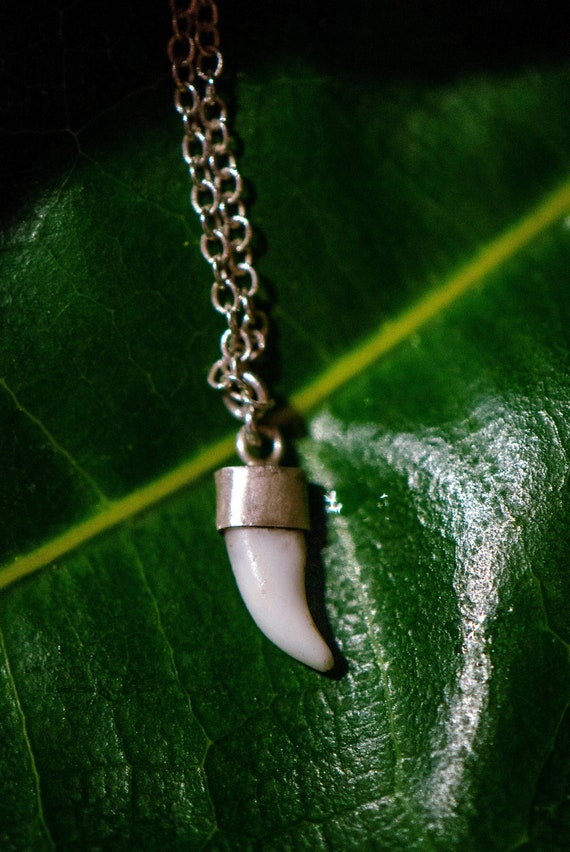 dog tooth pendant