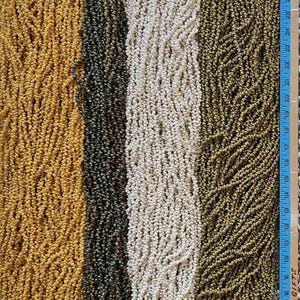 May include: A vertical image shows several strands of shell leis in different colours. The colours include golden yellow, dark green, white, and olive green. A blue ruler with centimetre markings is visible on the right, indicating the length of the leis.