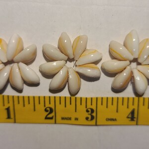 100 Pcs Loose Cowrie Shell Rings Hawaii image 2
