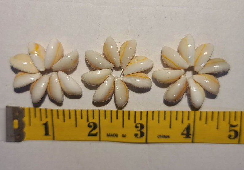 100 Pcs Loose Cowrie Shell Rings Hawaii image 2