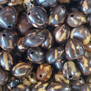 May include: A close-up of a pile of brown and tan seed beads with holes drilled through them. The beads are smooth and shiny, and they are arranged in a random pattern.