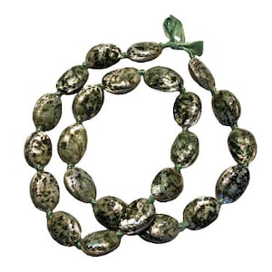 Green Abalone Polished Hawaiian Shell Lei Necklace 30 inch