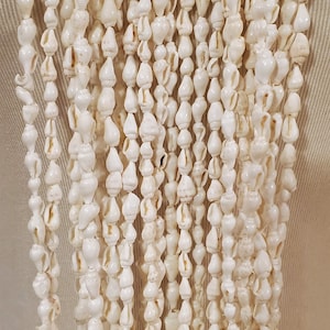 Nassa Shell Long Lei Necklace - 1, 2, 3, 4, 5 or 6 Strands about 56" White or Beige Hawaiian Lei Necklace Graduation Wedding Birthday