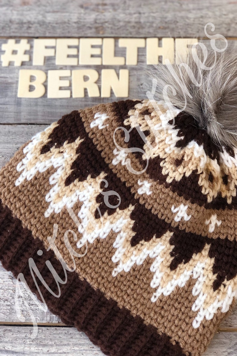 The Bernie Beanie Crochet Hat Pattern, Bernie Sanders, Inauguration Mittens, PDF Download, Vermont, Bernie Sanders Inspired, Bernies Mittens image 1