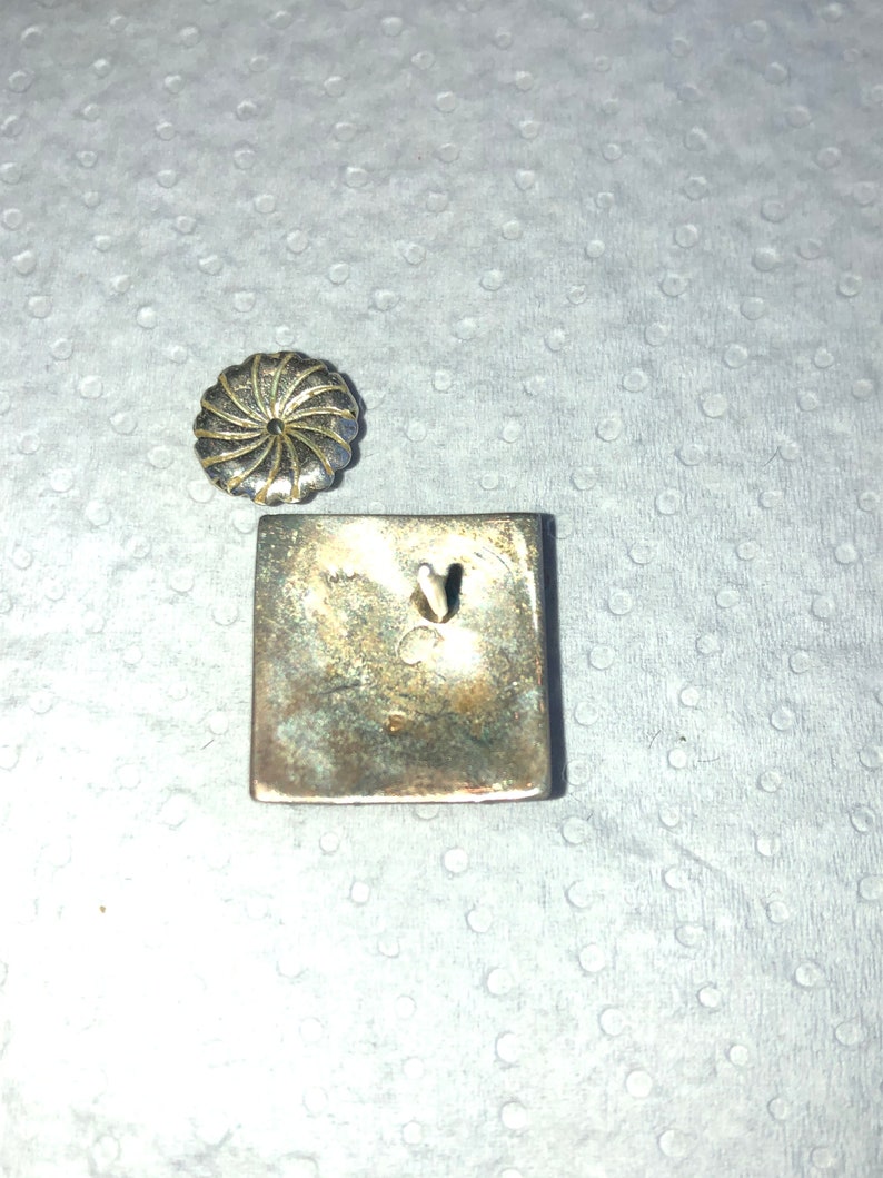 Sterling stone earrings pierced