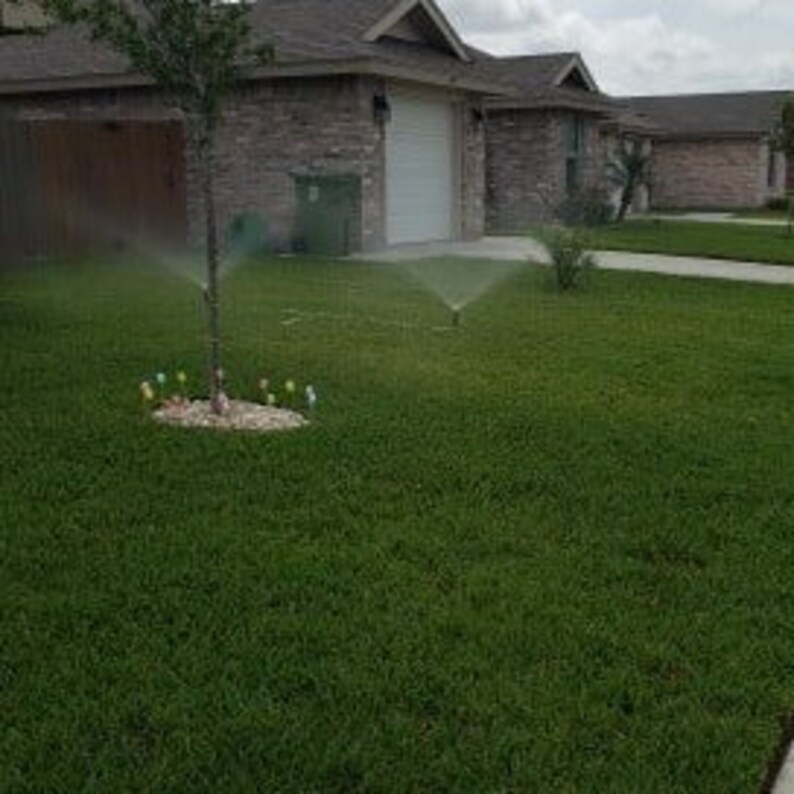 Lawn Irrigation System PVC T 2 Sprinkler Heads connect to Hose Etsy