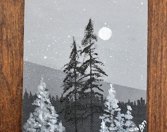 Tall Forest Trees