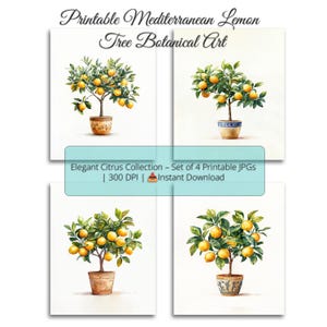 Väggkonst med citronträd i medelhavet – Utskrivbar citrusbotanisk set med 4 – Akvarelltryck i blå kruka – Köks- och vardagsrumsinredning