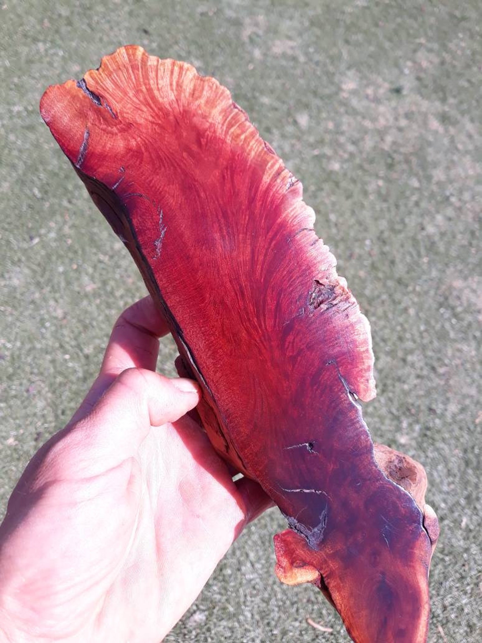 Amazing Manzanita Burl Wood Slab for Wall Mount Charcuterie Etsy