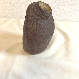 May include: A dark brown, textured ceramic vase with a unique, organic shape. The vase has a wide, open top and a rough, ridged surface. The color is a deep, earthy brown, and the overall design is reminiscent of natural forms.