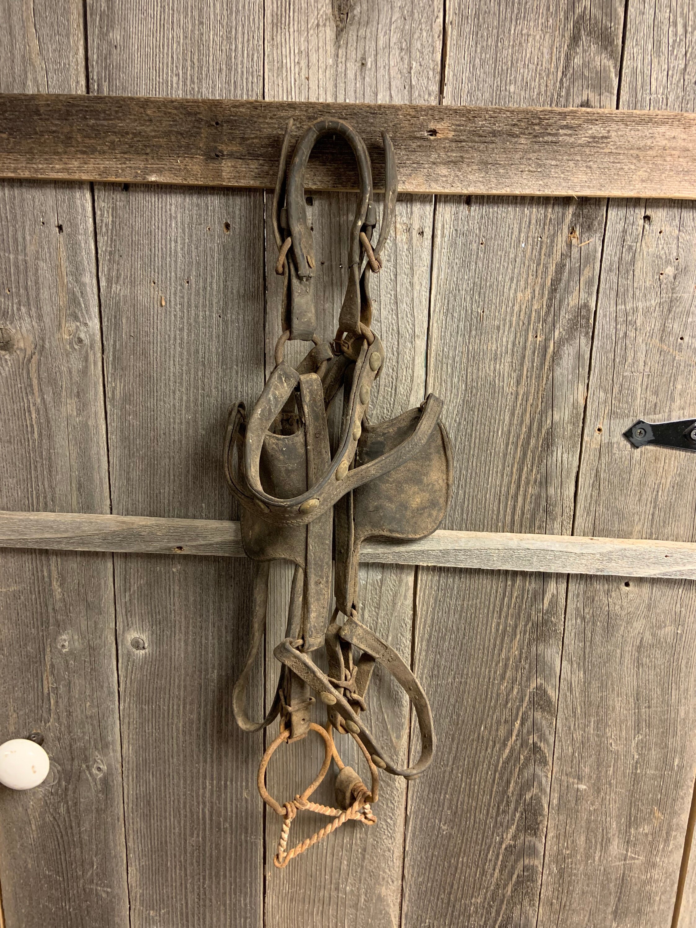 Horse Blinders for sale Only 4 left at 75