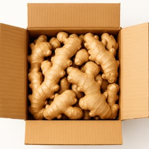 Fresh Organic Ginger Root – 5 lb Bulk | Raw Whole Ginger for Cooking, Juicing, Tea, Wellness & Natural Remedies