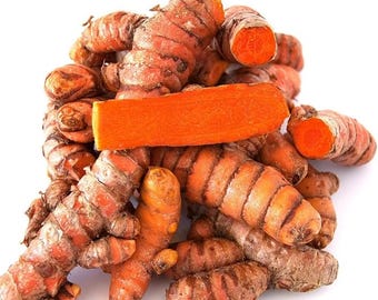 Fresh wild Whole  Turmeric Root 1lb -10lb for Tea wellness and cooking