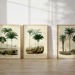 Set of 3 Palm Tree Printables | Boho Vintage Wall Art | Tropical Leaves Wall Decor | Antique Greenery Print | ArtSaltPlace Digital Download