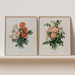 Set met botanische vintage rozenprint: cottagecore bloemendecor (digitale download)