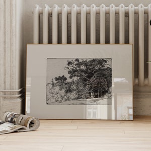 Op de afbeelding: Een zwart-wit ingelijste print van een bos scène met bomen en bladeren. De print is op een licht beige achtergrond en heeft een gouden lijst.