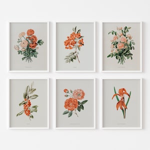 Set of 6 Cottage Core Vintage Farmhouse Botanical Prints | Antique Floral Gallery Wall Paintings | Digital Download