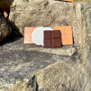 Smores Coasters handmade set of 4 Food coaster for gifts camping outdoor lovers gifts campfire fun outdoor decor image 3